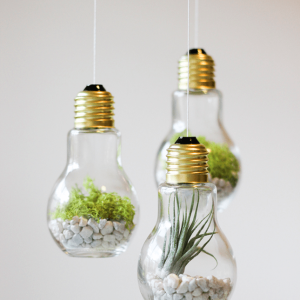 import placeholder for 2069