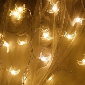 moon fairy lights
