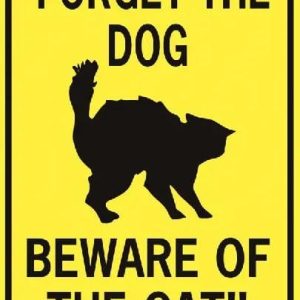 import placeholder for 515